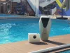 Swim Jet X35-P60 1,0 250