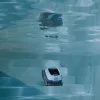 DOLPHIN eon 100